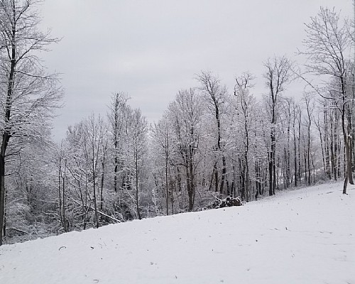 Winter is Coming! Are Your Restroom Trailers Ready?